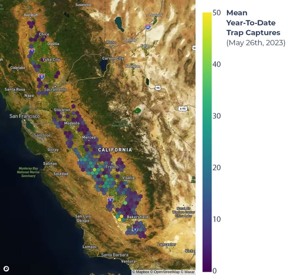 Map of California with small color-coded zones throughout the Central Valley for mean year-to-date trap captures ranging from 0 to 50