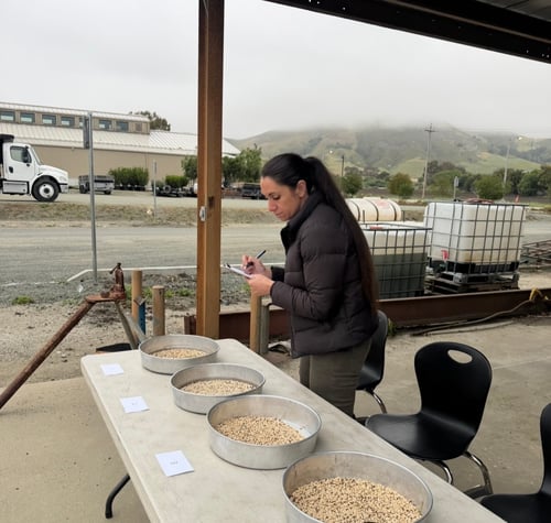 Ashlee judging a class of black eyed beans