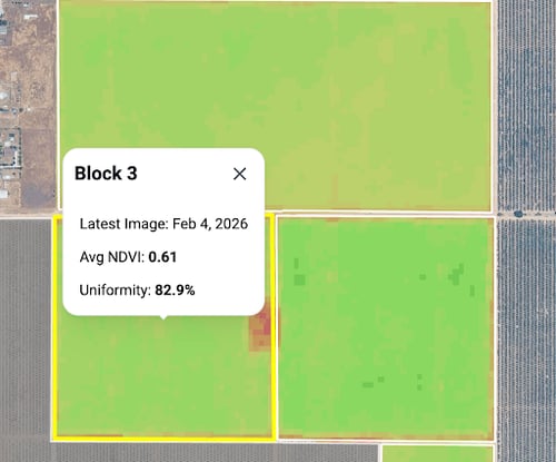 ndvi-hub-screenshot-date