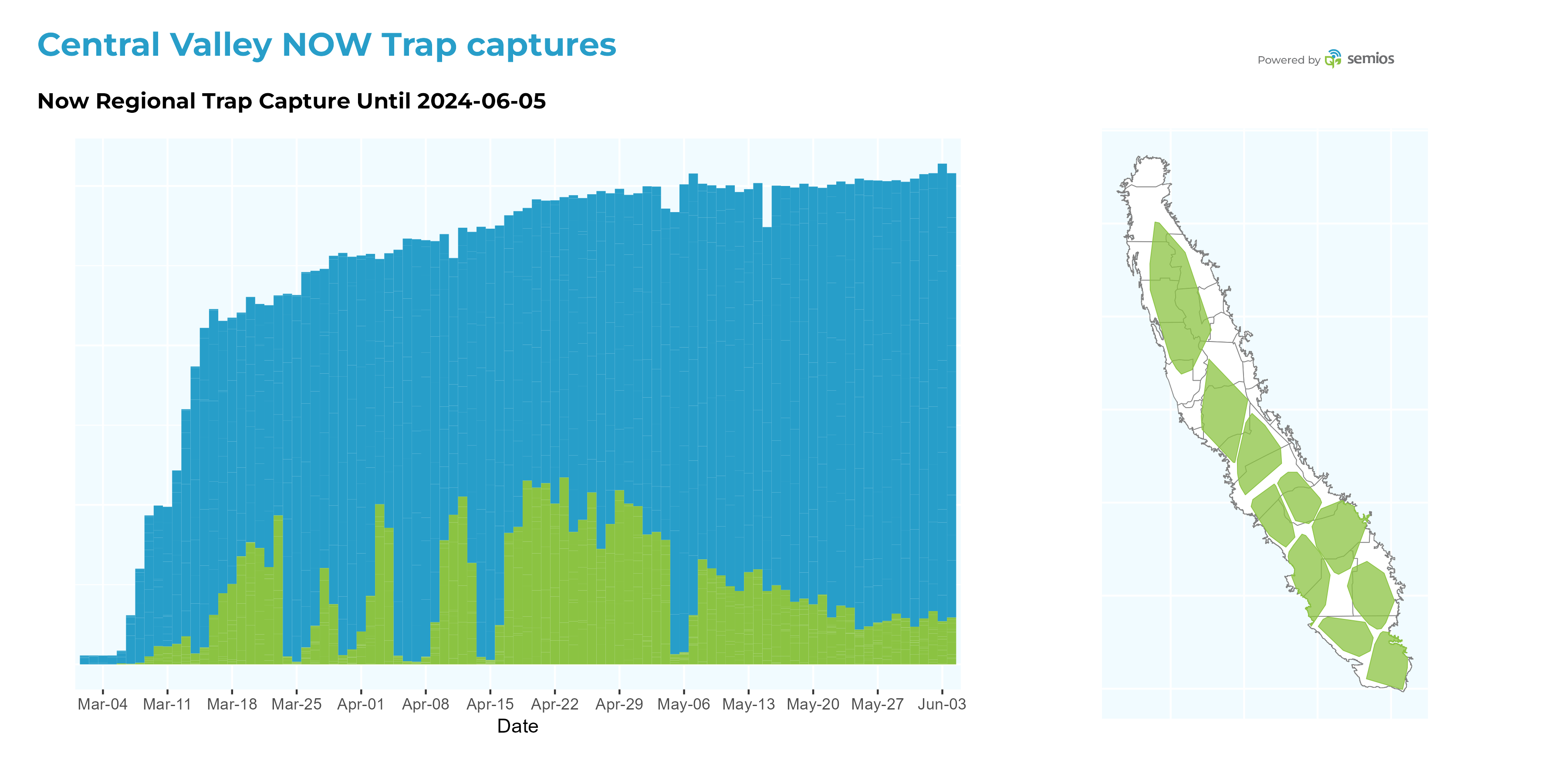 Chart showing the proportion of Semios NOW traps that have caught NOW on a given day.