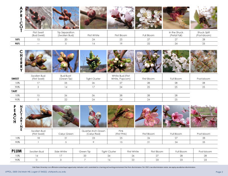 Chart of critical temperatures for frost damage on various stone fruit trees