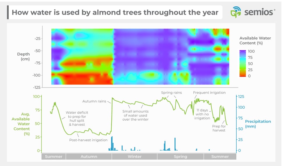 A graph showing how water is used by almond trees throughout the year. Available water content plus precipitation is plotted against the 2019-2020 season, which the least water available in the summer months and the water content being refilled in the autumn months.