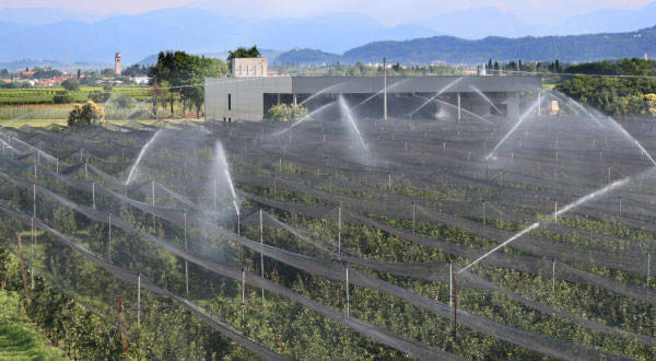 IT-Apple-Irrigation-Email-Banner