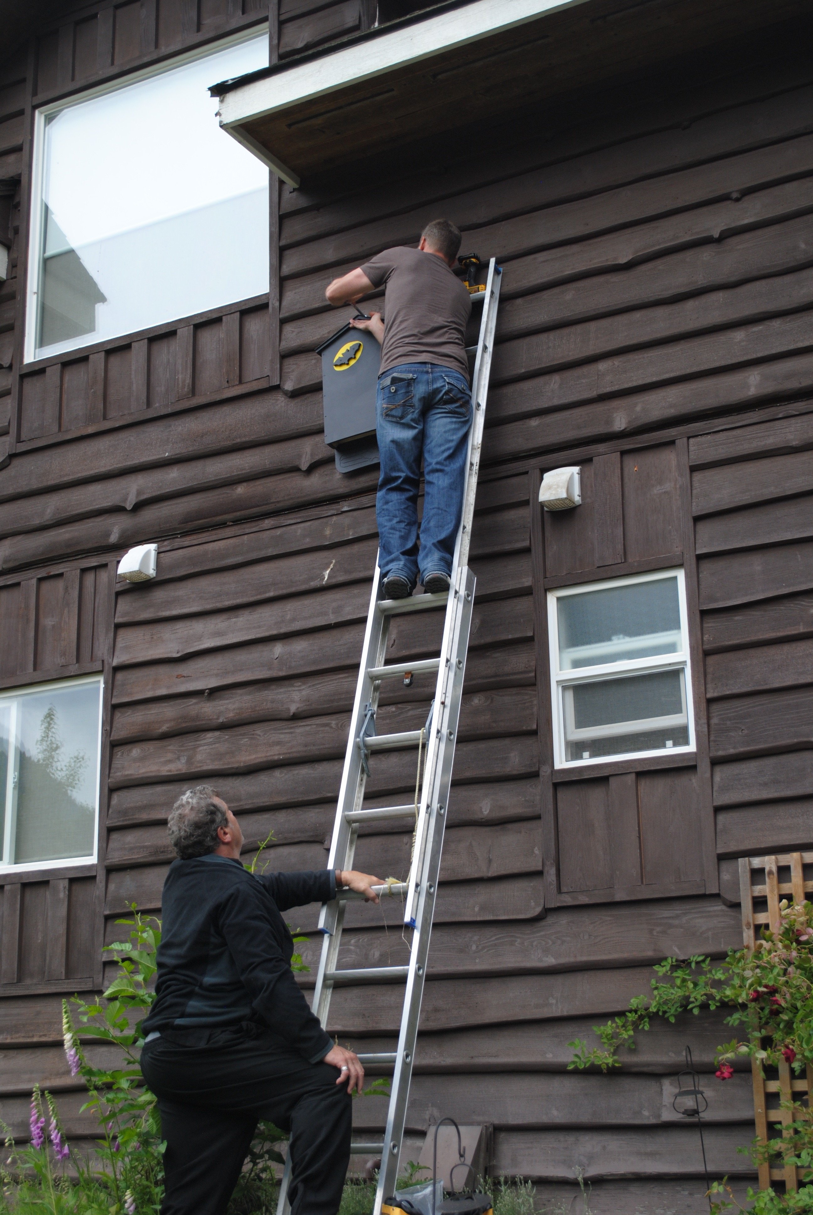 Installing bat house