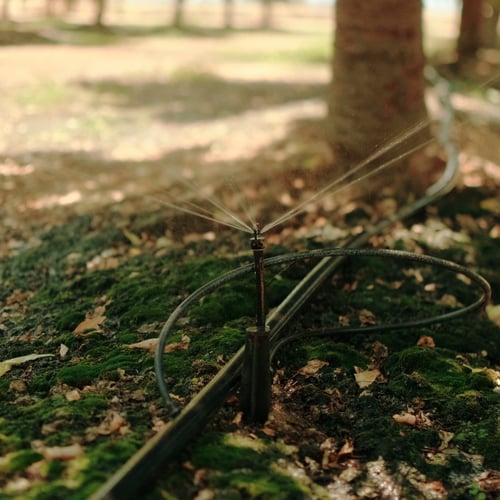 Irrigating an orchard