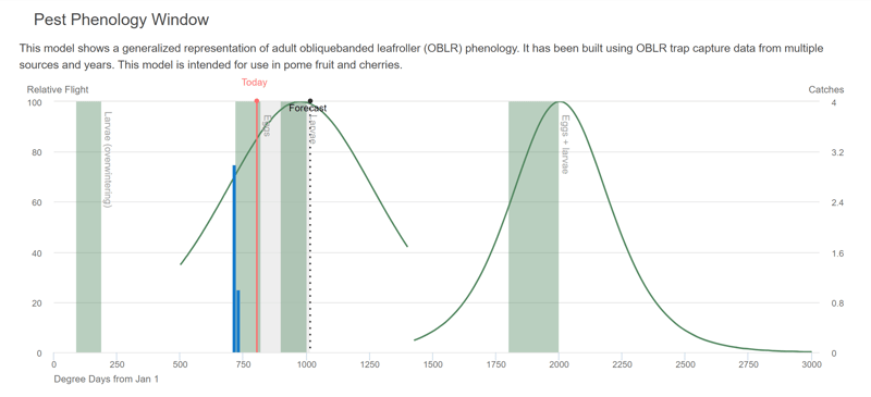 Obliquebanded Leafroller Pest Phenology Window