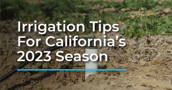 crop irrigation tips for California 2023
