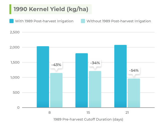 Graph showing a reduced 1990 kernel yield for almond trees that received no post-harvest irrigation compared to trees that did receive post-harvest irrigation in 1989.