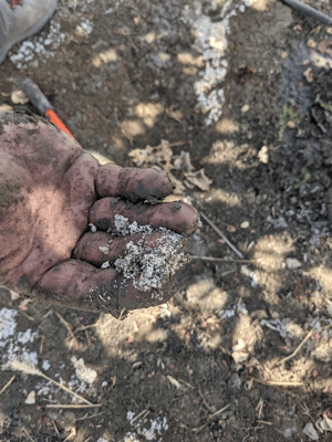 Hand holding up salts that were sitting on top of the soil in an orchard