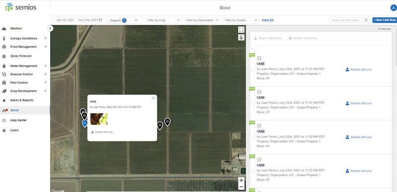 Screenshot of the Scout app on the Semios platform, where pins on a map show locations where VMB was spotted.