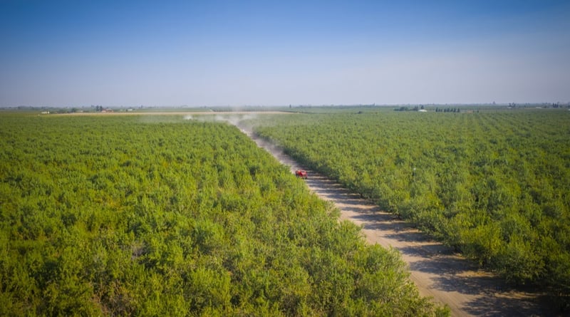 Truck driving down an orchard