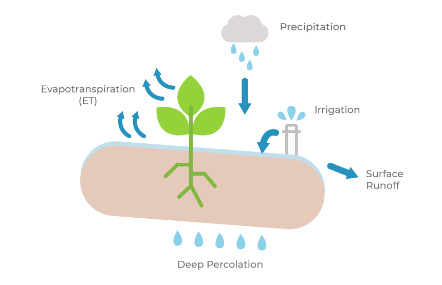 Understanding Evapotranspiration (ET)