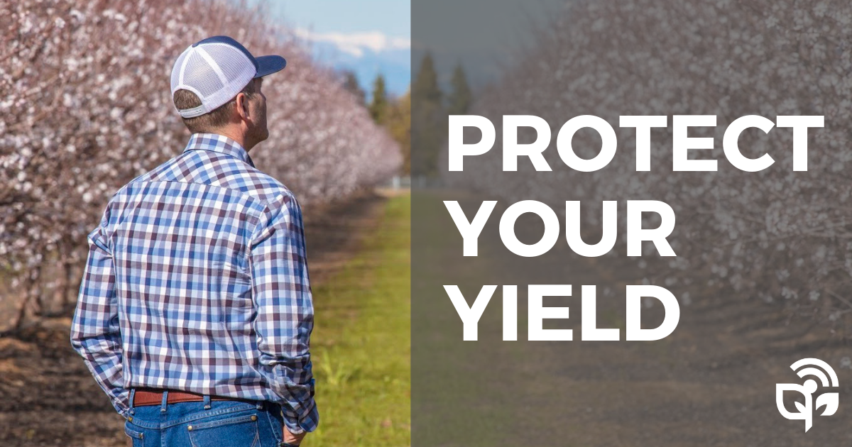 protect your yield1 (1)
