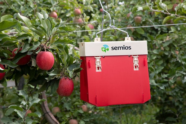 semios-trap-red-apple