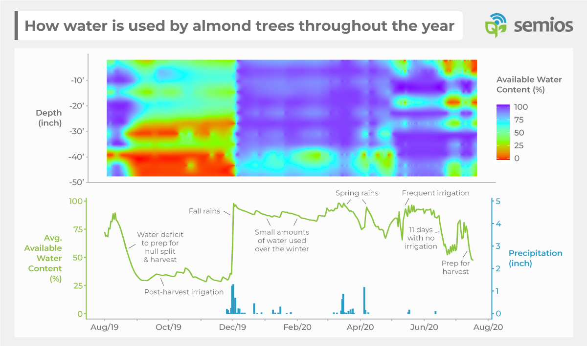 A graph showing how water is used by almond trees throughout the year. Available water content plus precipitation is plotted against the 2019-2020 season, which the least water available in the summer months and the water content being refilled in the fall months.