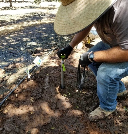 Member of the Semios field services team installing a soil moisture probe in an orchard