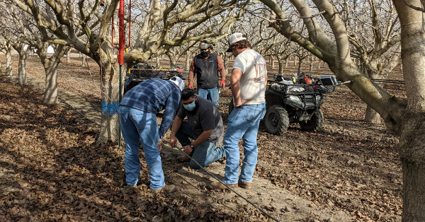 soil moisture probe installation-1