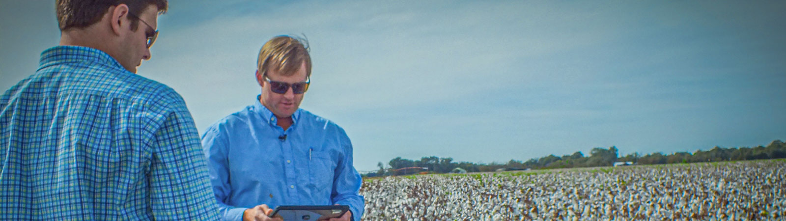why-every-farm-can-benefit-from-a-CFO-mindset-banner