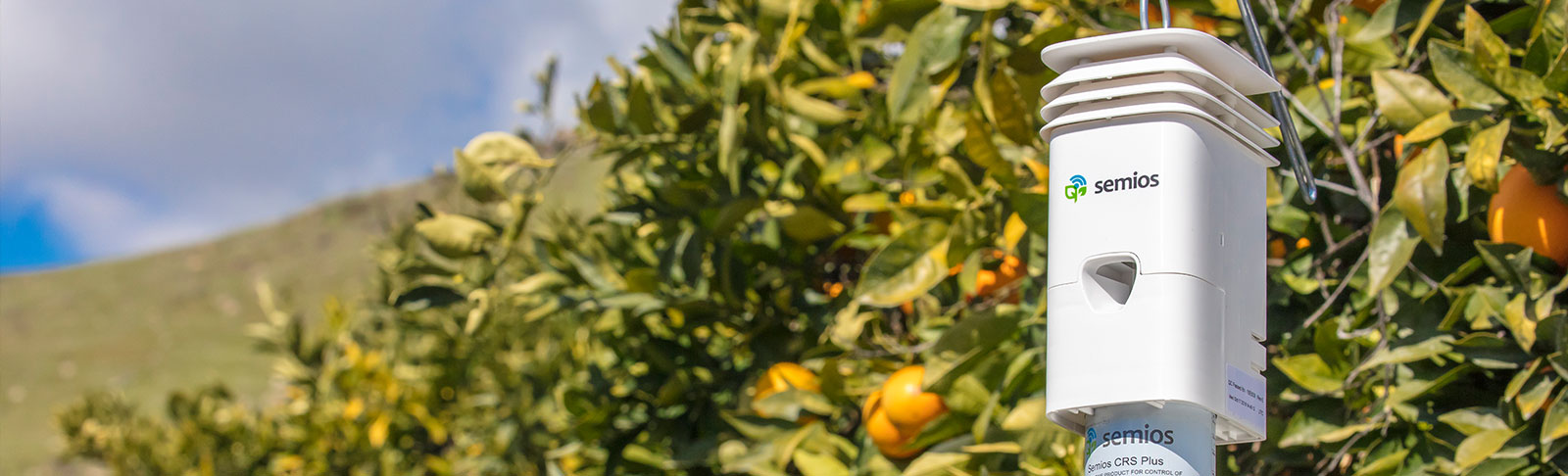 banner-orange