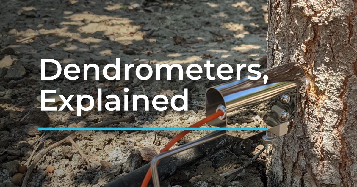 Key measurement devices used in TreeNet. Point dendrometer of the