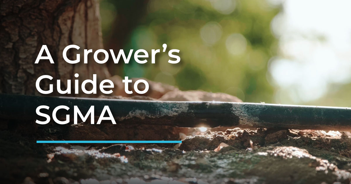 A Grower's Guide To SGMA (Sustainable Groundwater Management Act)